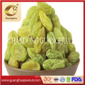 Grade AAA Hot Sale Chinese Raisin 2020 New Crop